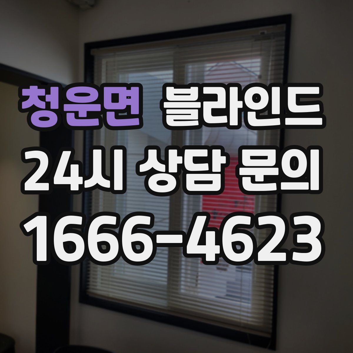 청운면 블라인드