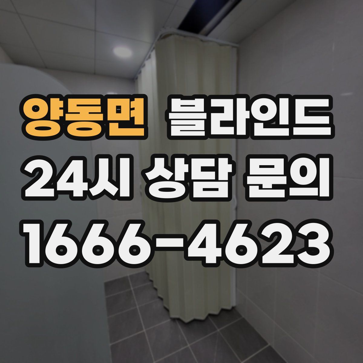 양동면 블라인드