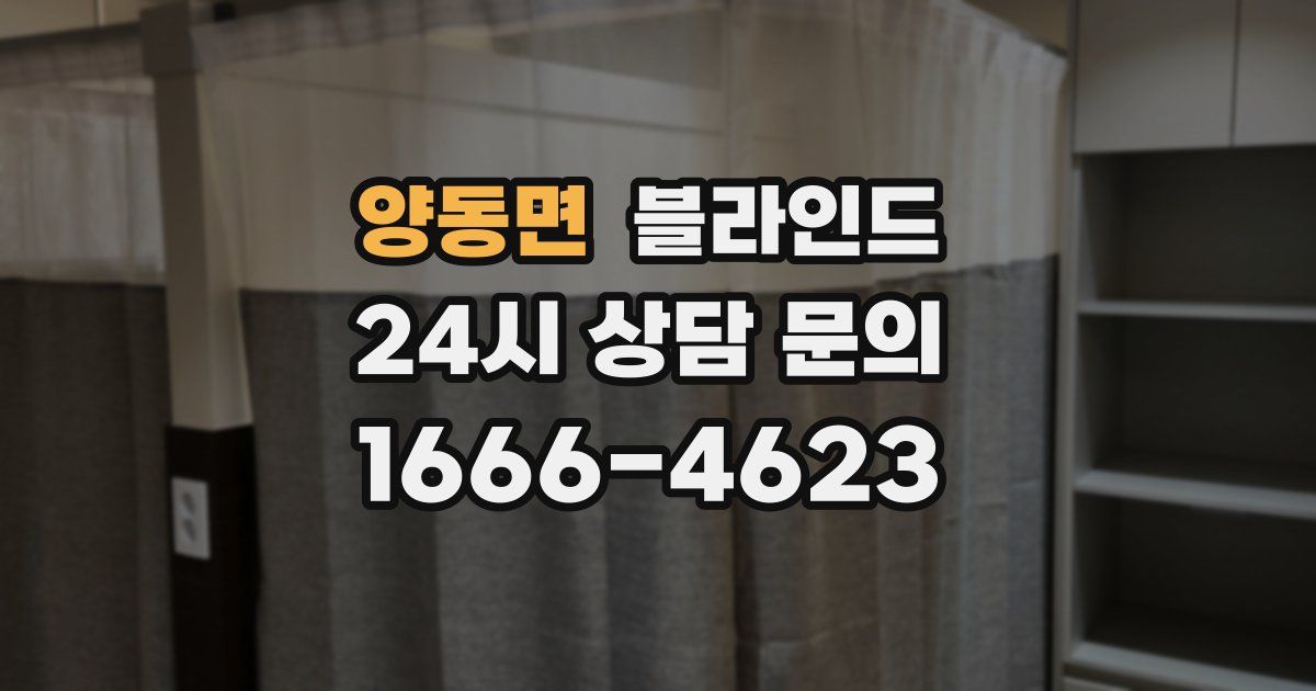 양동면 블라인드