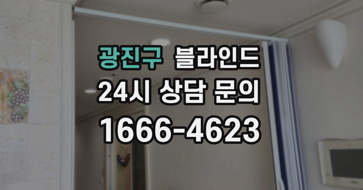 광진구 블라인드
