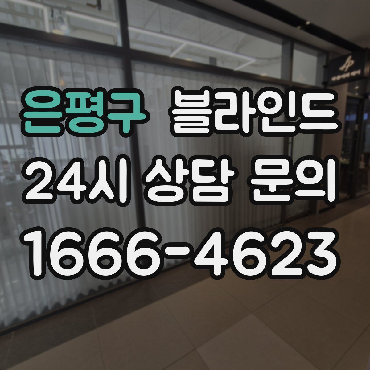 은평구 블라인드