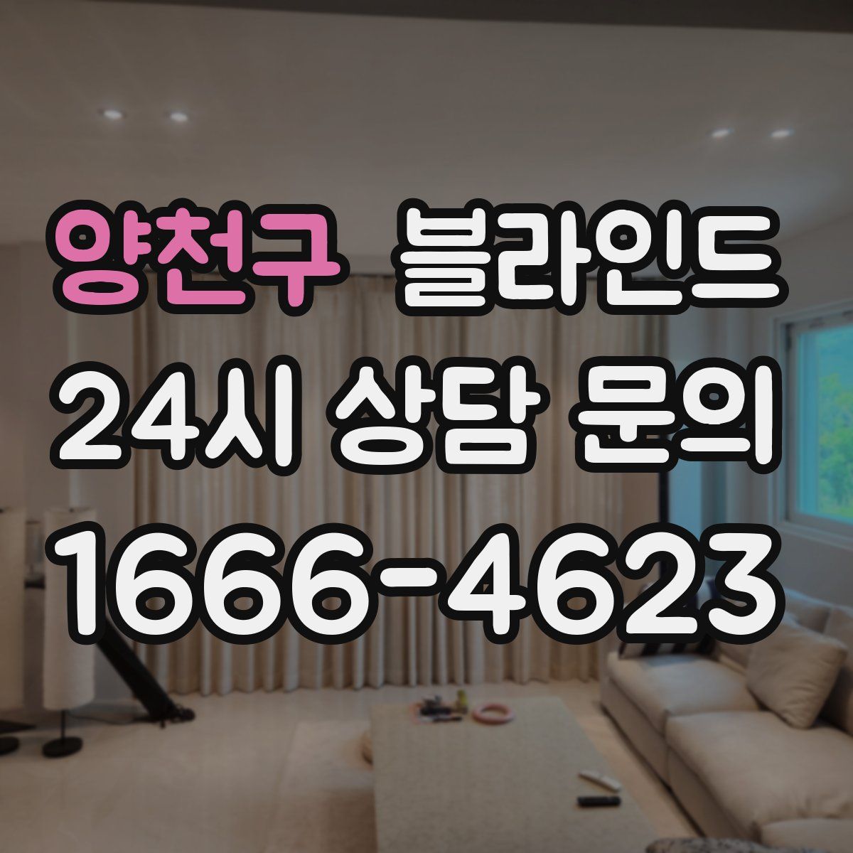 양천구 블라인드