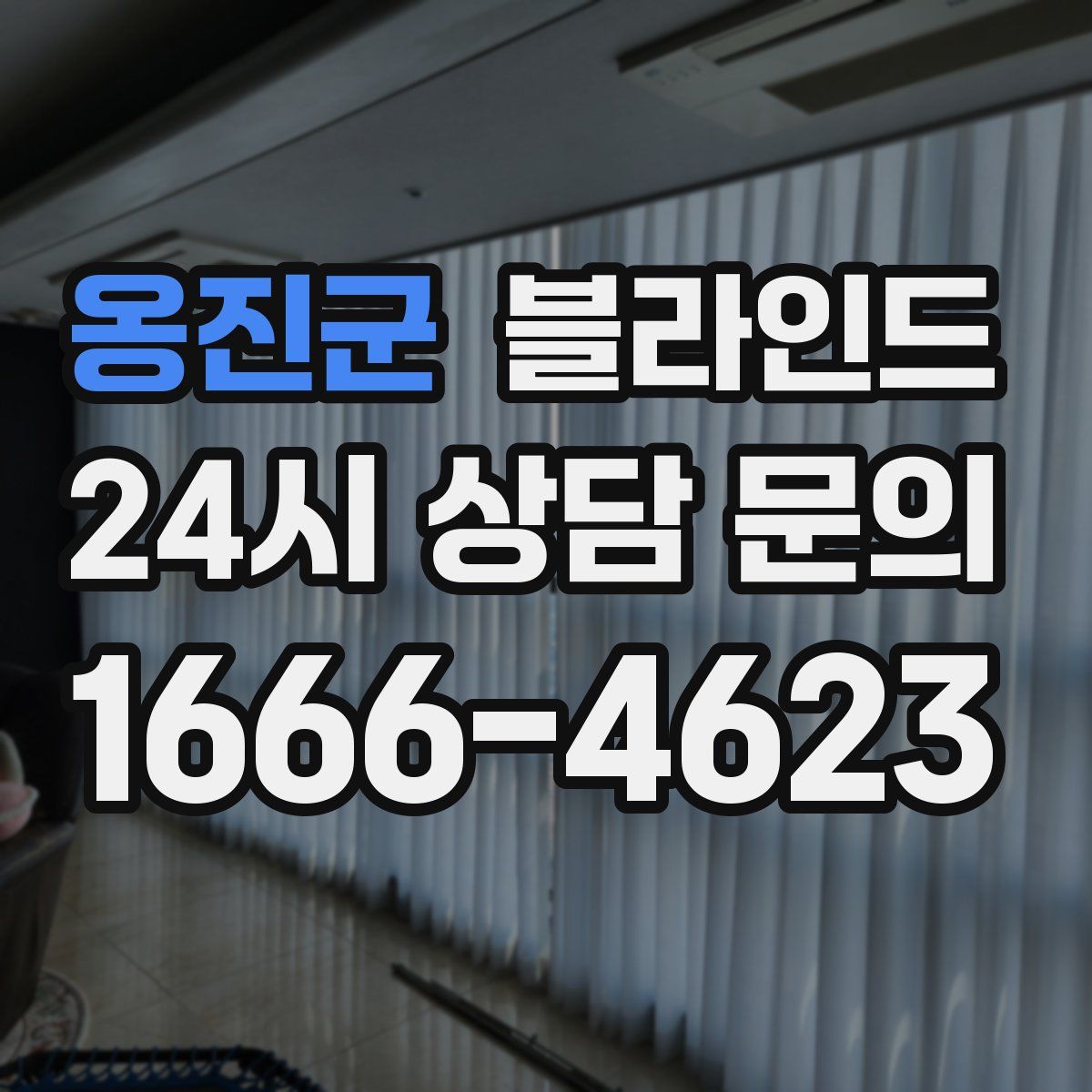 옹진군 블라인드