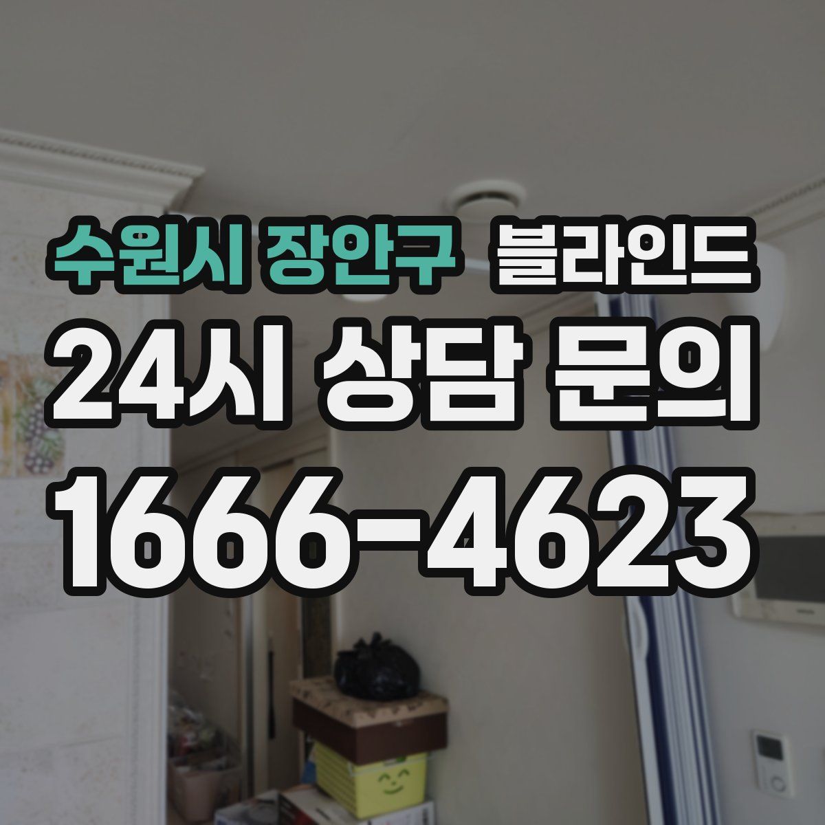 수원시 장안구 블라인드