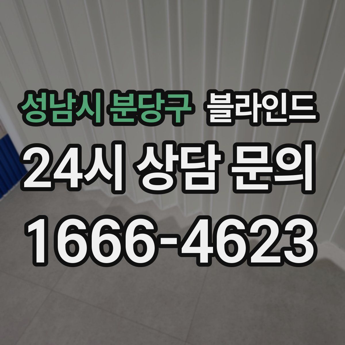 성남시 분당구 블라인드