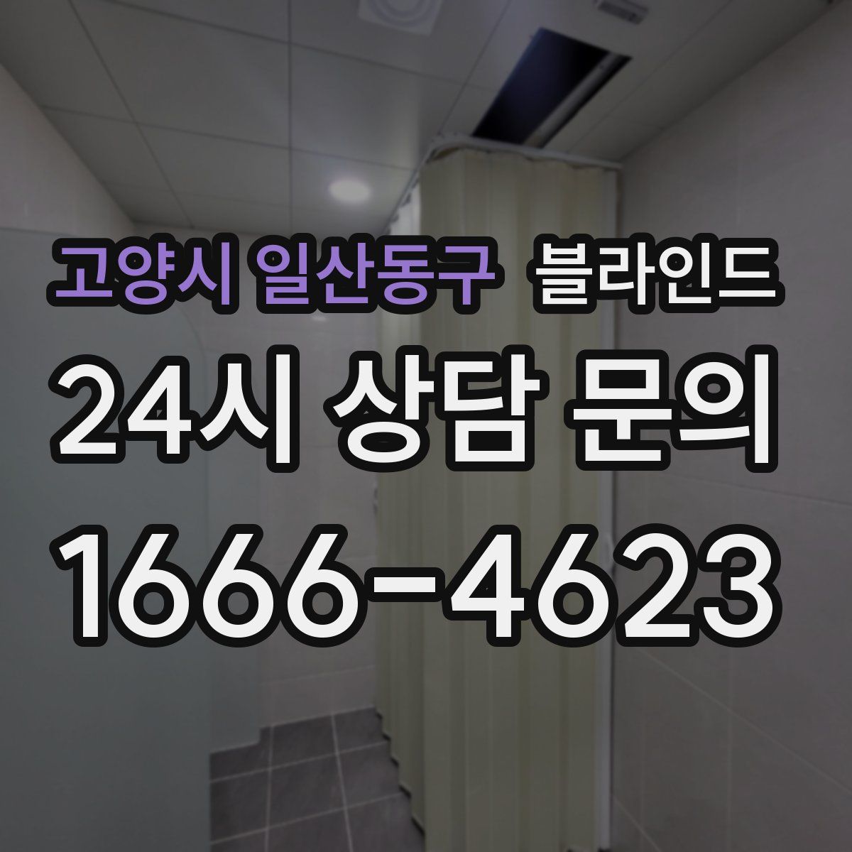 고양시 일산동구 블라인드