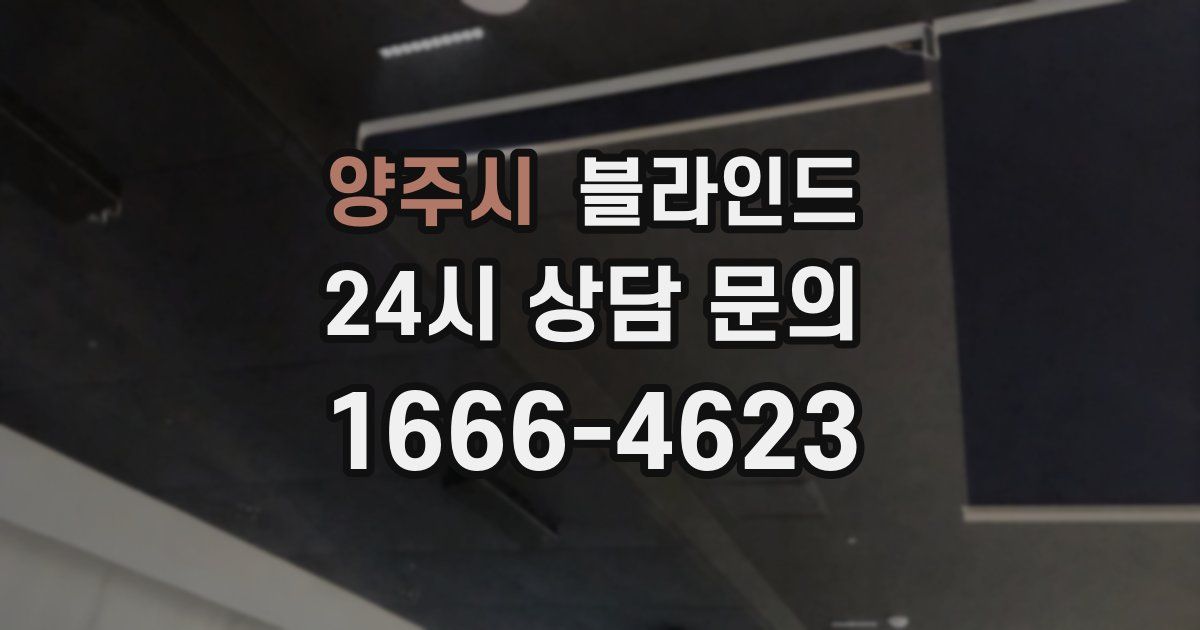 양주시 블라인드