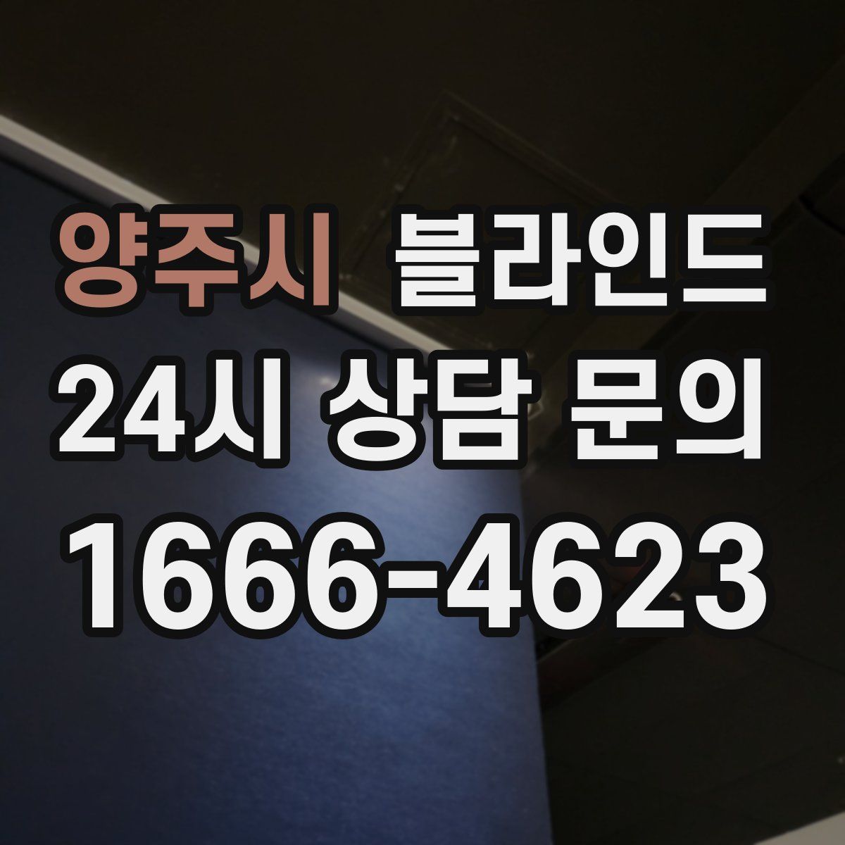 양주시 블라인드