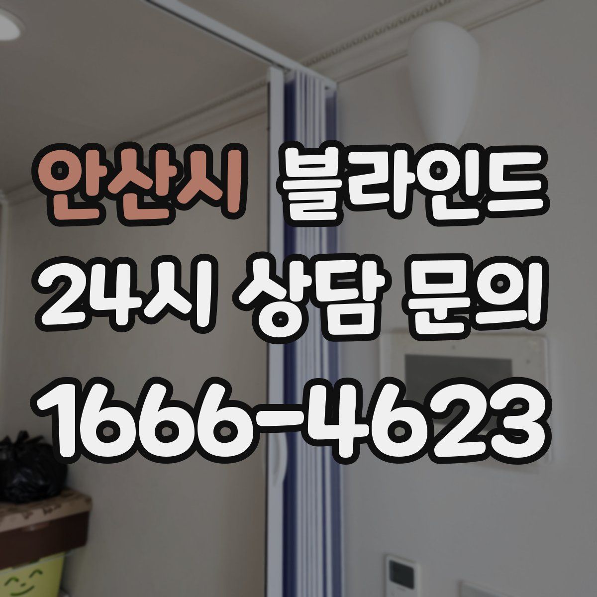 안산시 블라인드