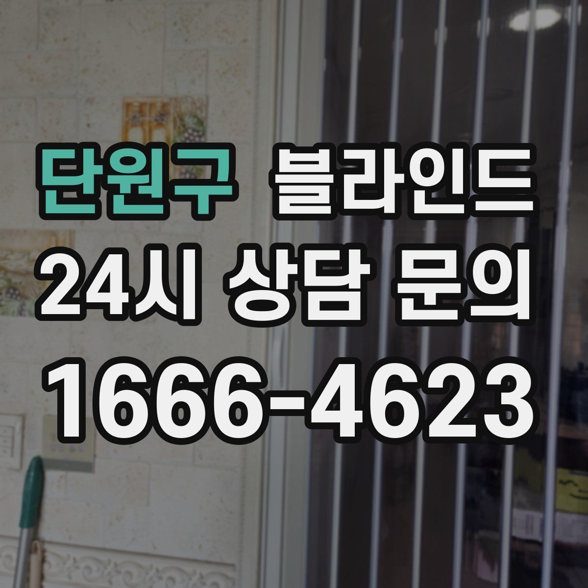 단원구 블라인드