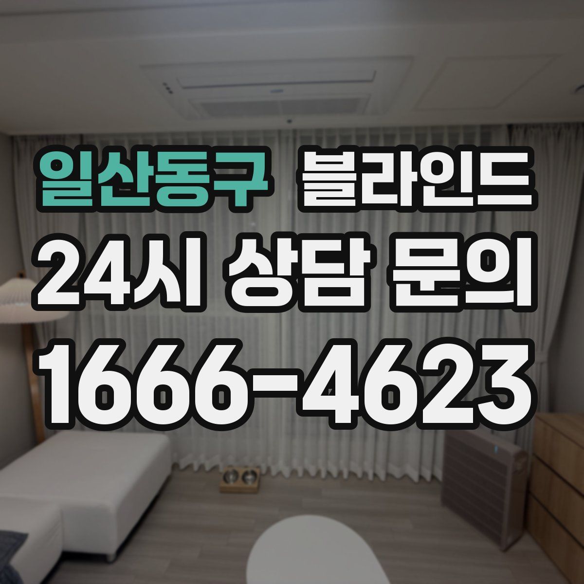 일산동구 블라인드