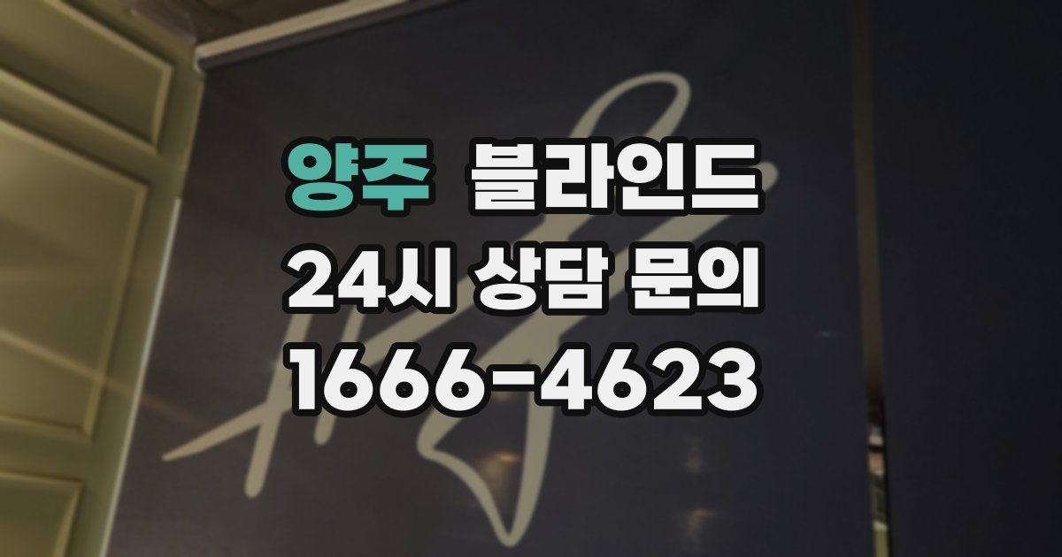양주 블라인드