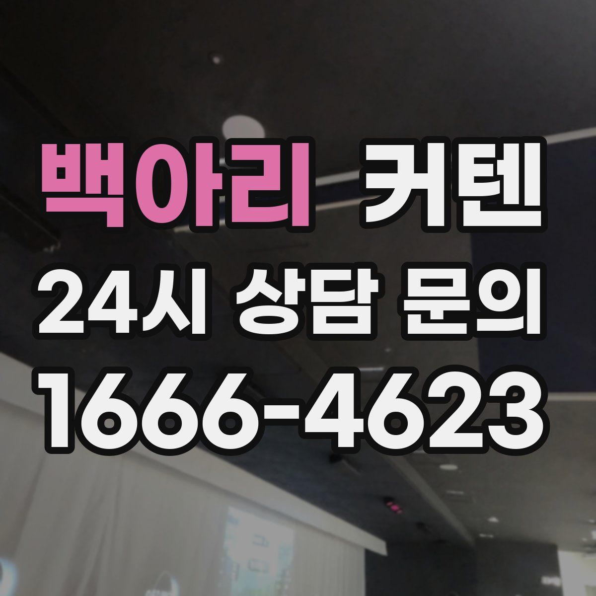 백아리 커텐