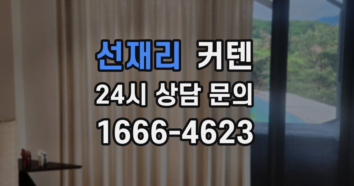선재리 커텐