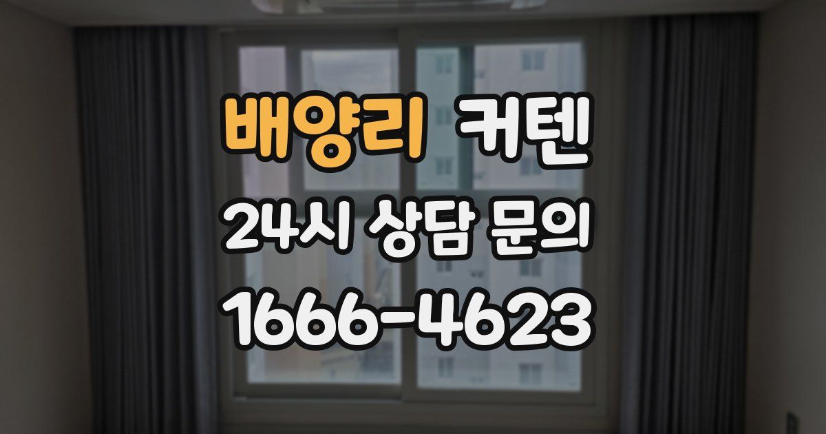 배양리 커텐