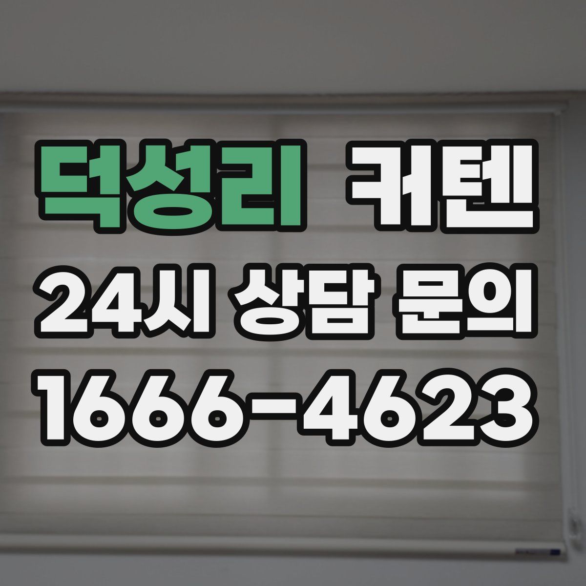 덕성리 커텐