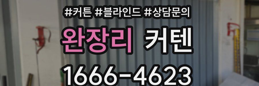 완장리 커텐