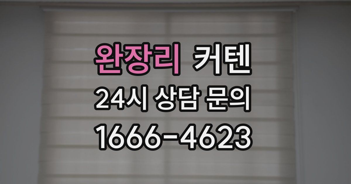 완장리 커텐