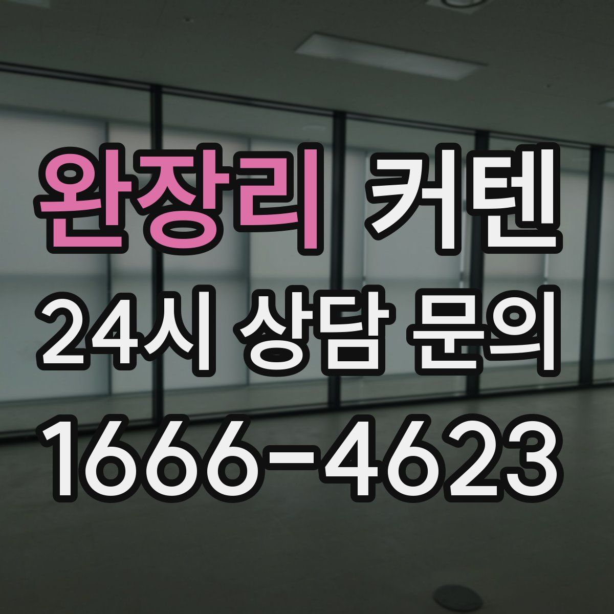 완장리 커텐