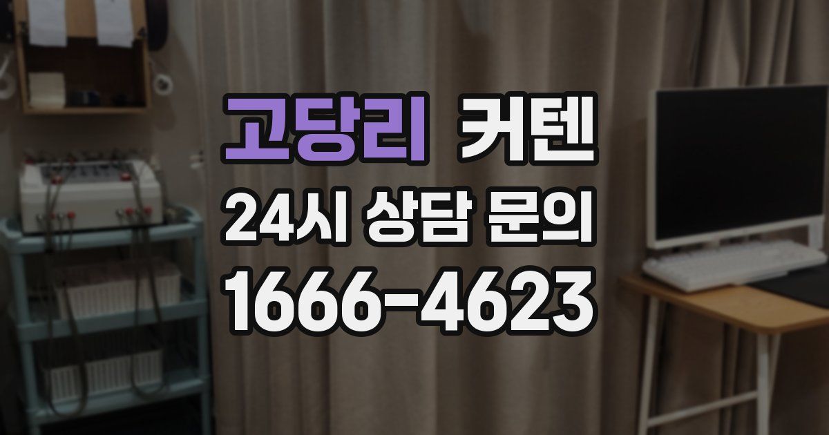 고당리 커텐