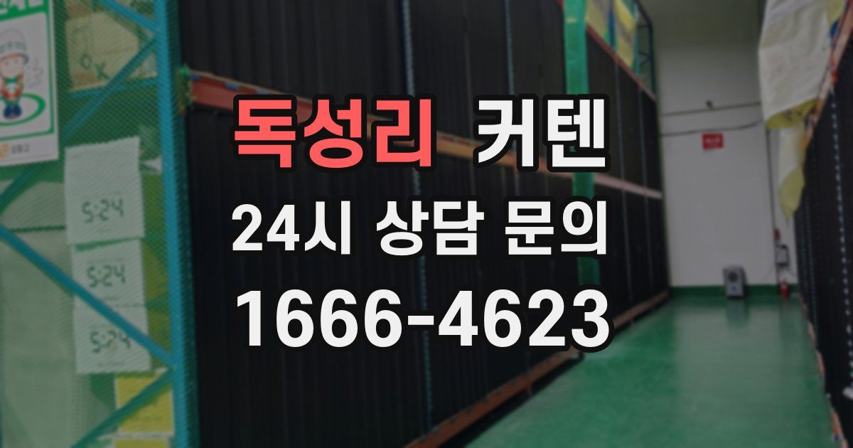 독성리 커텐