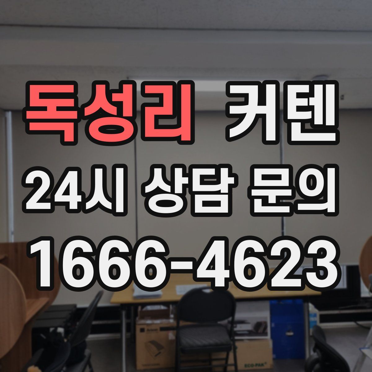 독성리 커텐