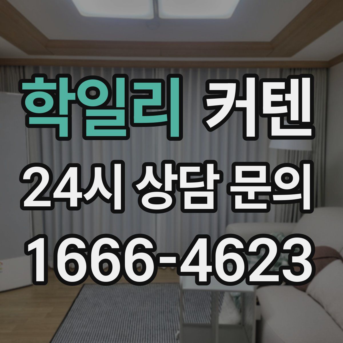 학일리 커텐