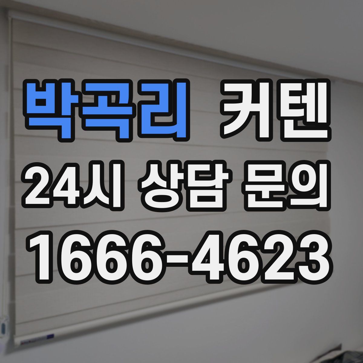 박곡리 커텐