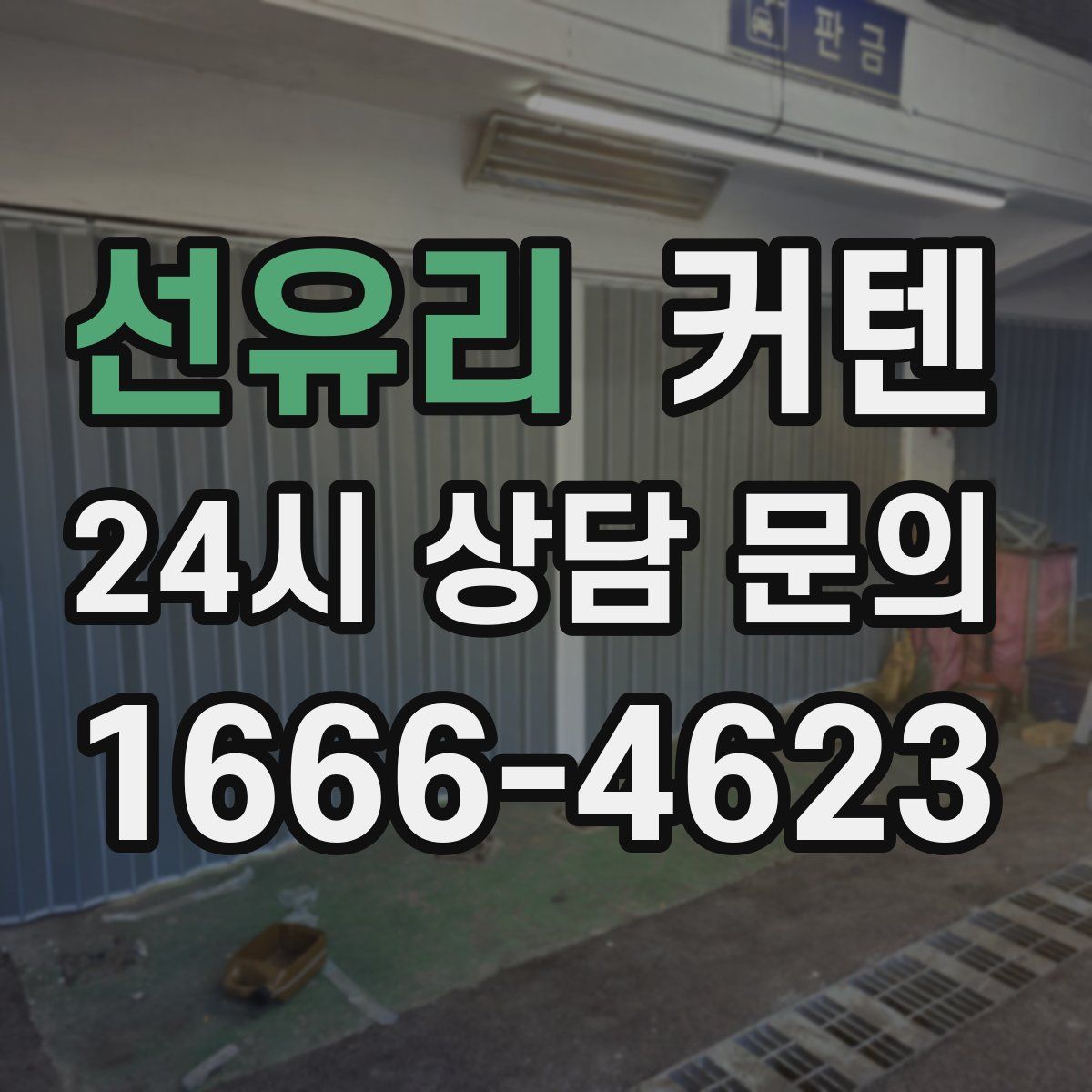 선유리 커텐