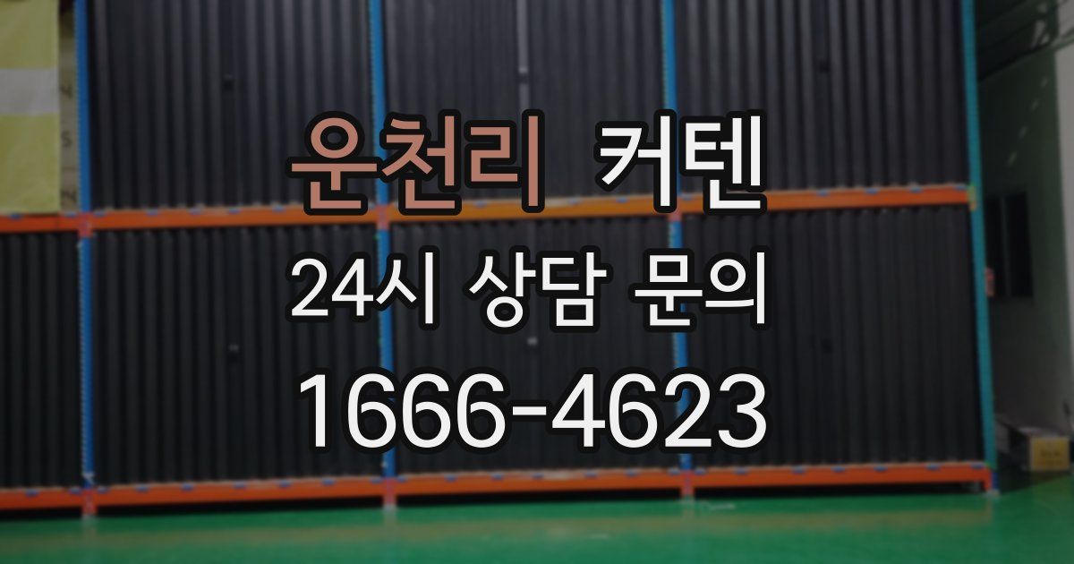 운천리 커텐