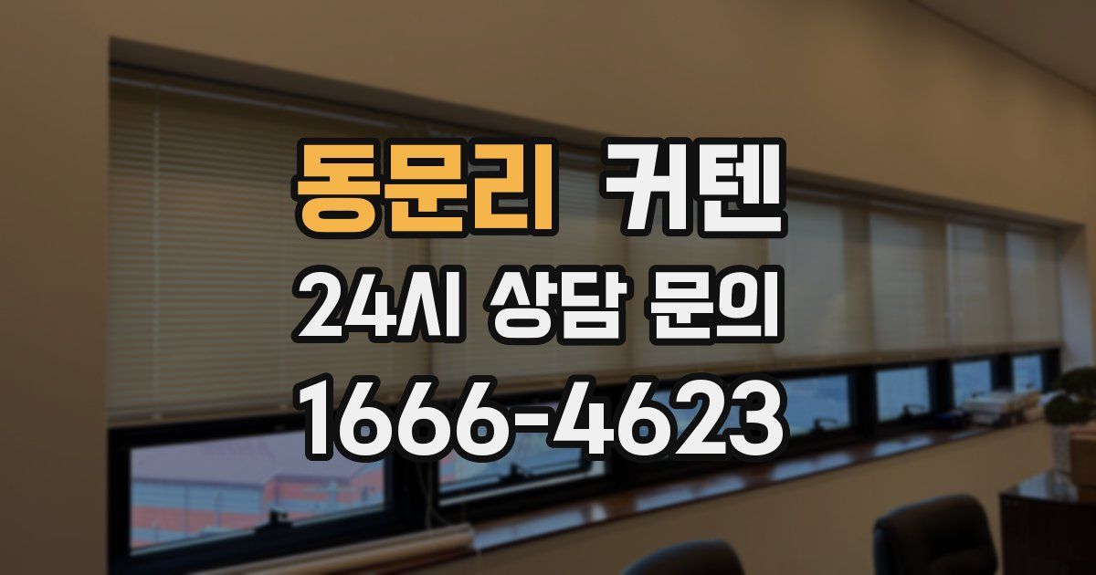 동문리 커텐