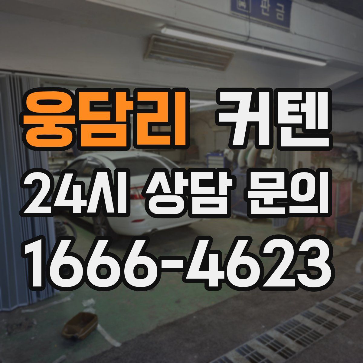 웅담리 커텐