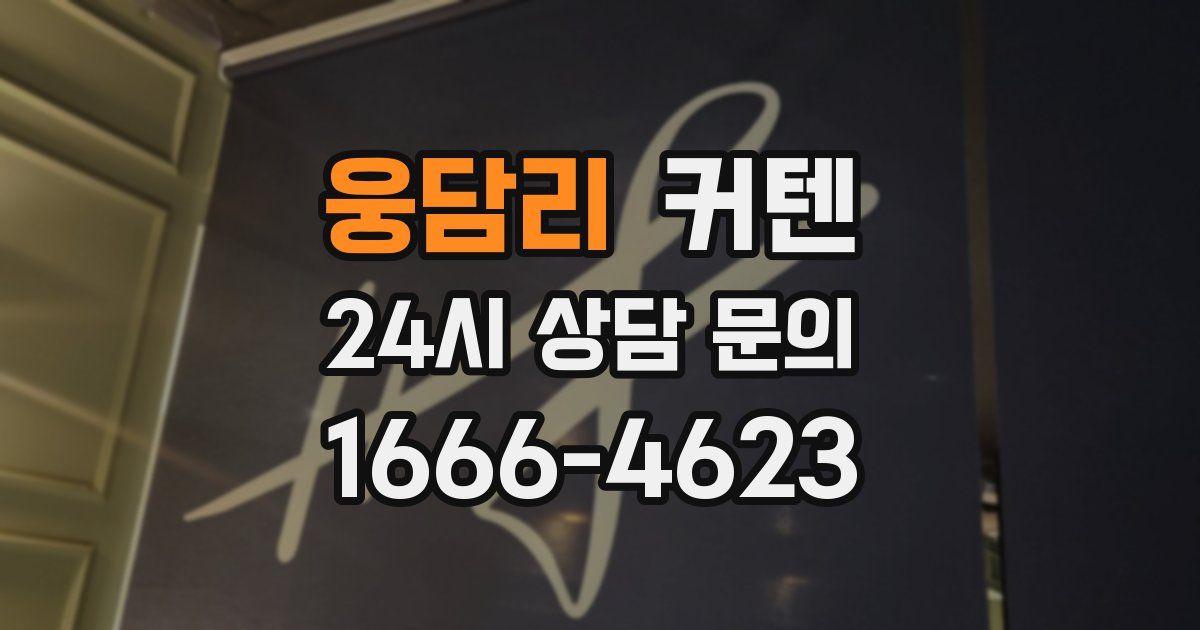 웅담리 커텐