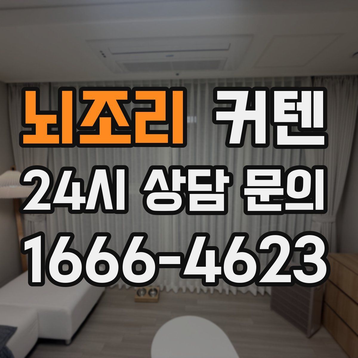 뇌조리 커텐