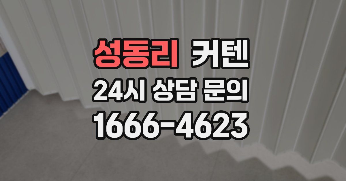 성동리 커텐