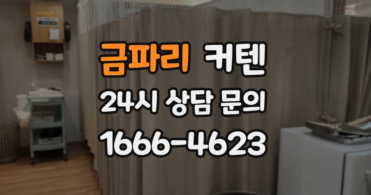 금파리 커텐