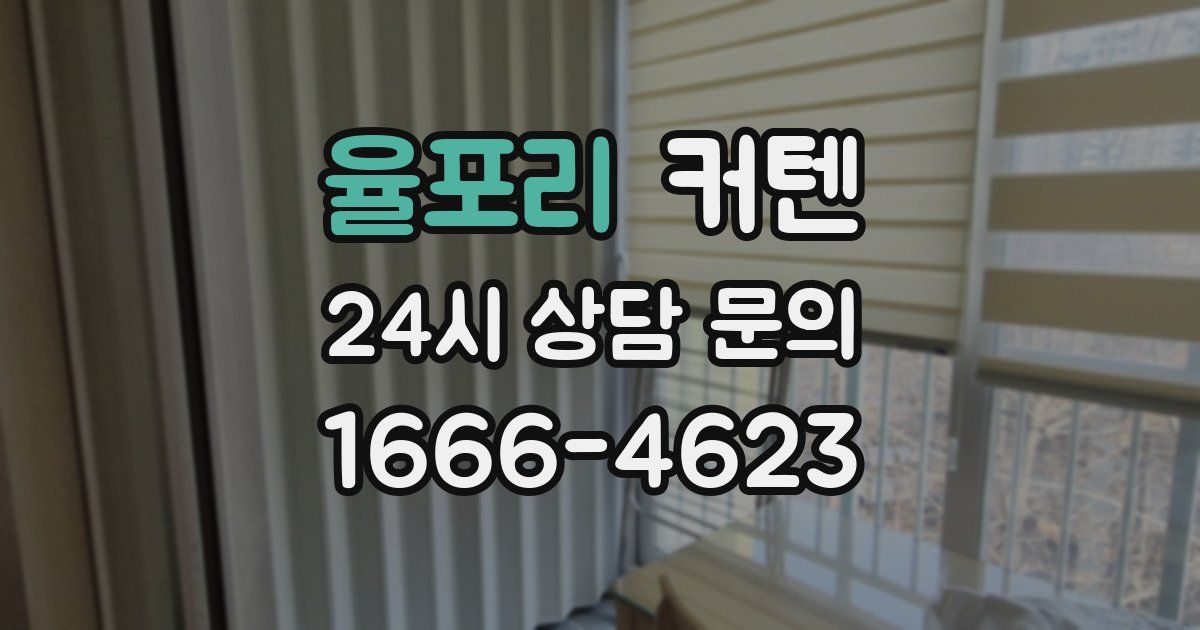 율포리 커텐