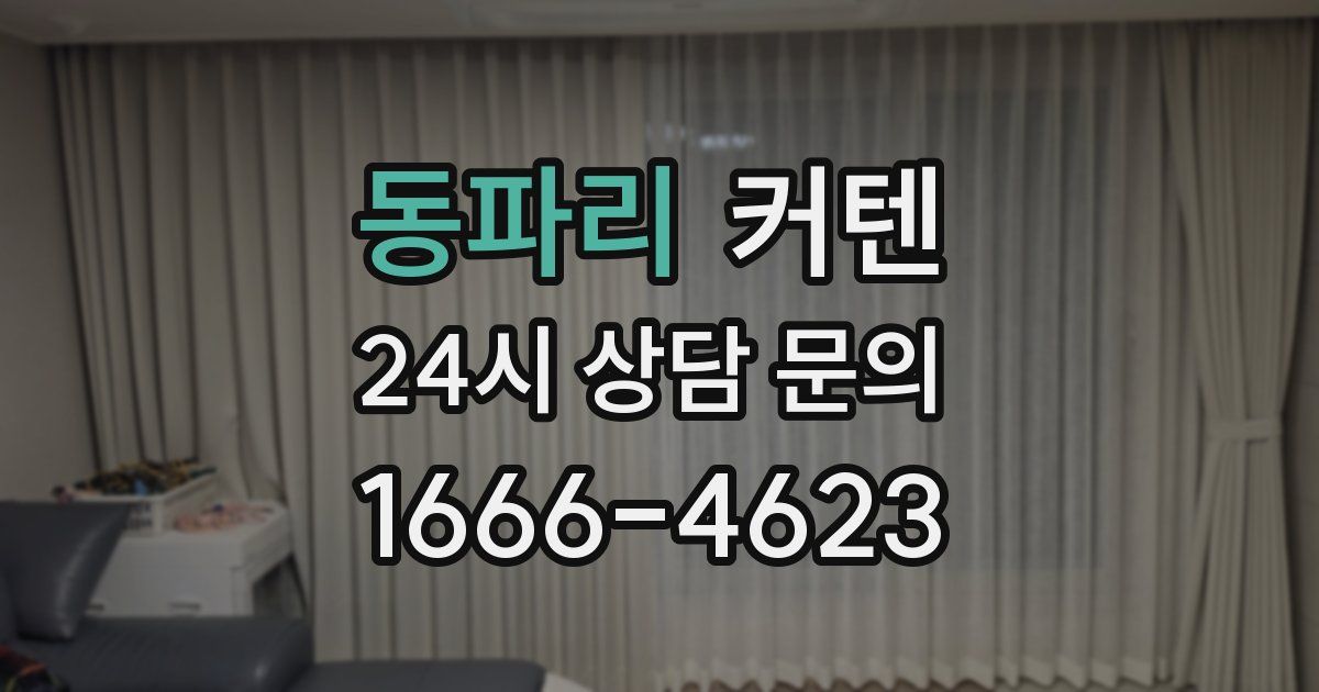 동파리 커텐