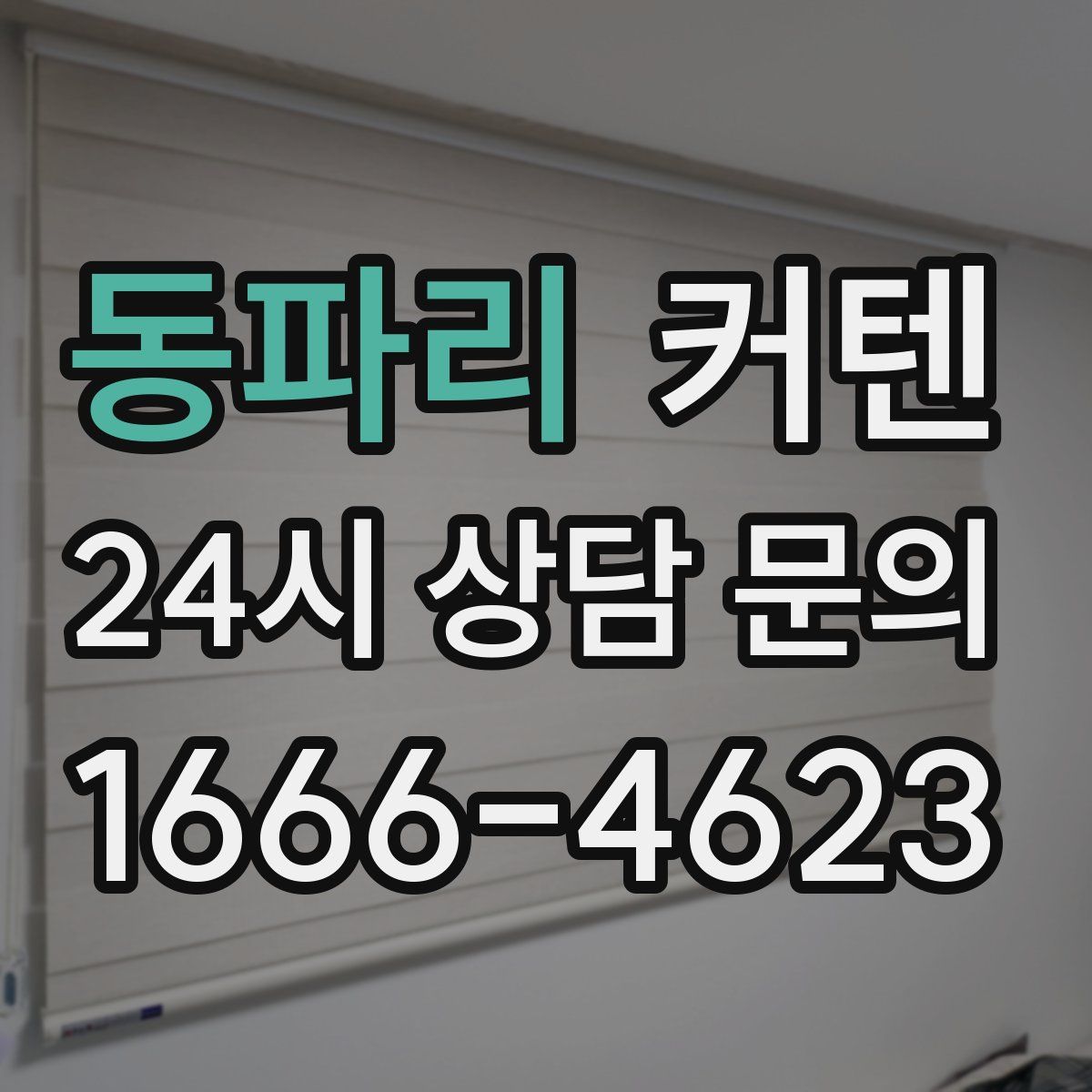 동파리 커텐