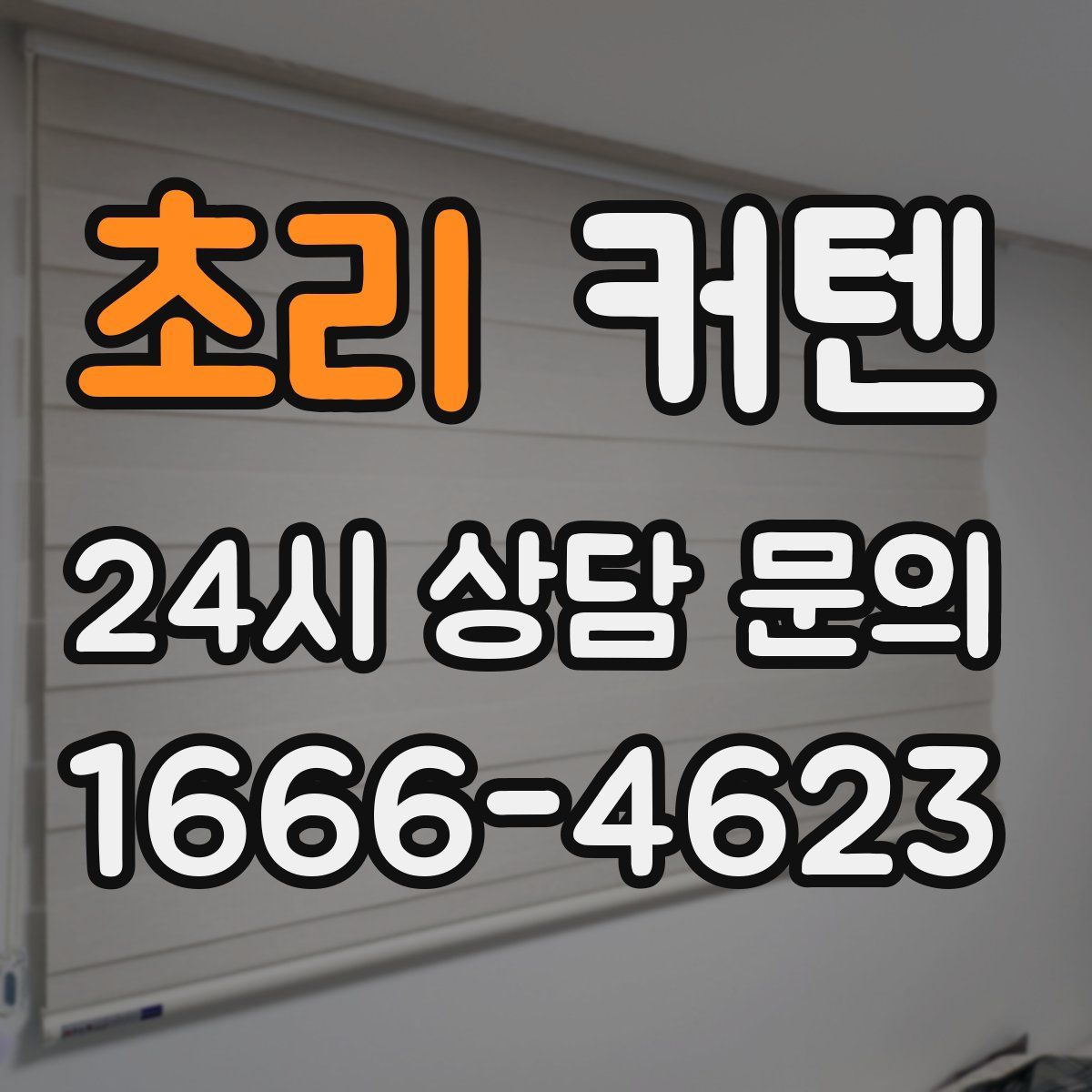 초리 커텐