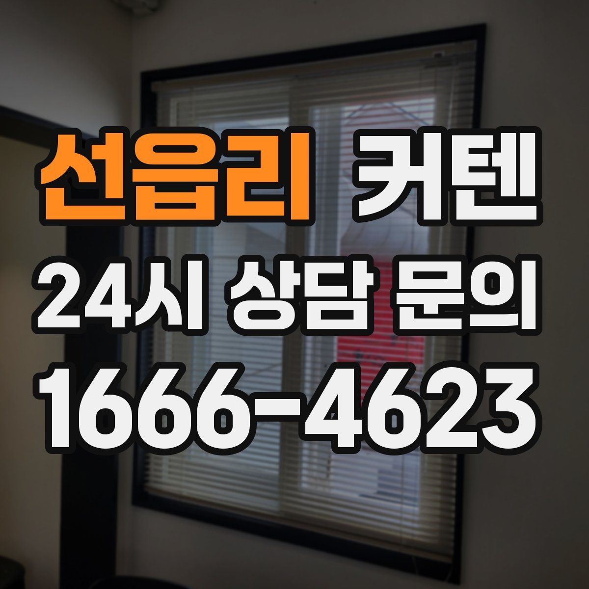선읍리 커텐