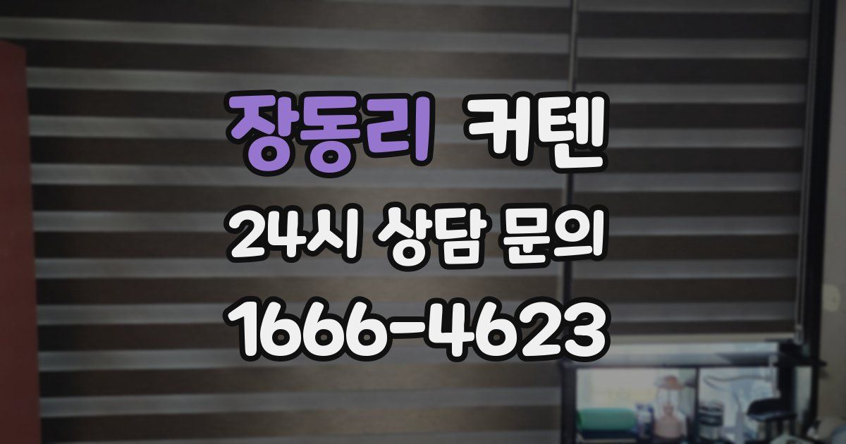 장동리 커텐