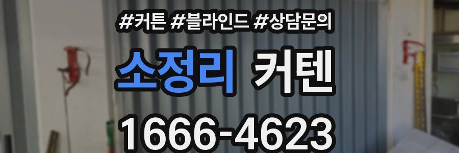 소정리 커텐