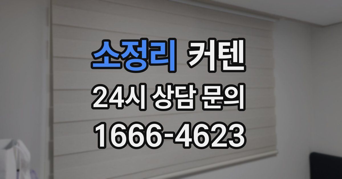 소정리 커텐