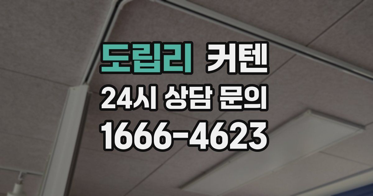 도립리 커텐