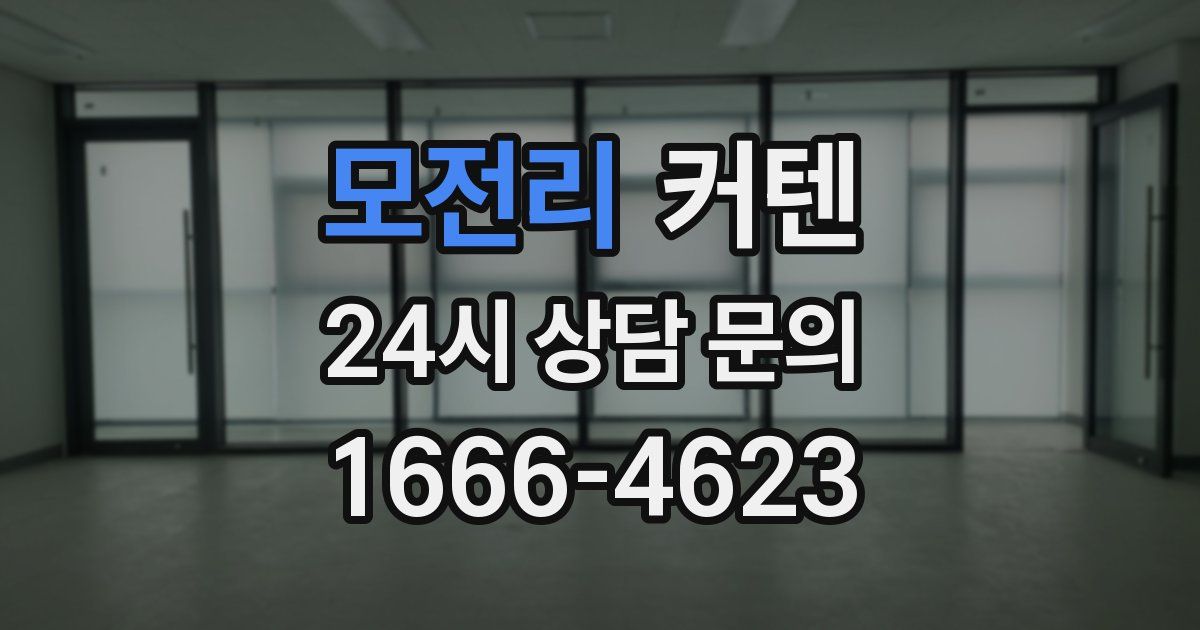 모전리 커텐