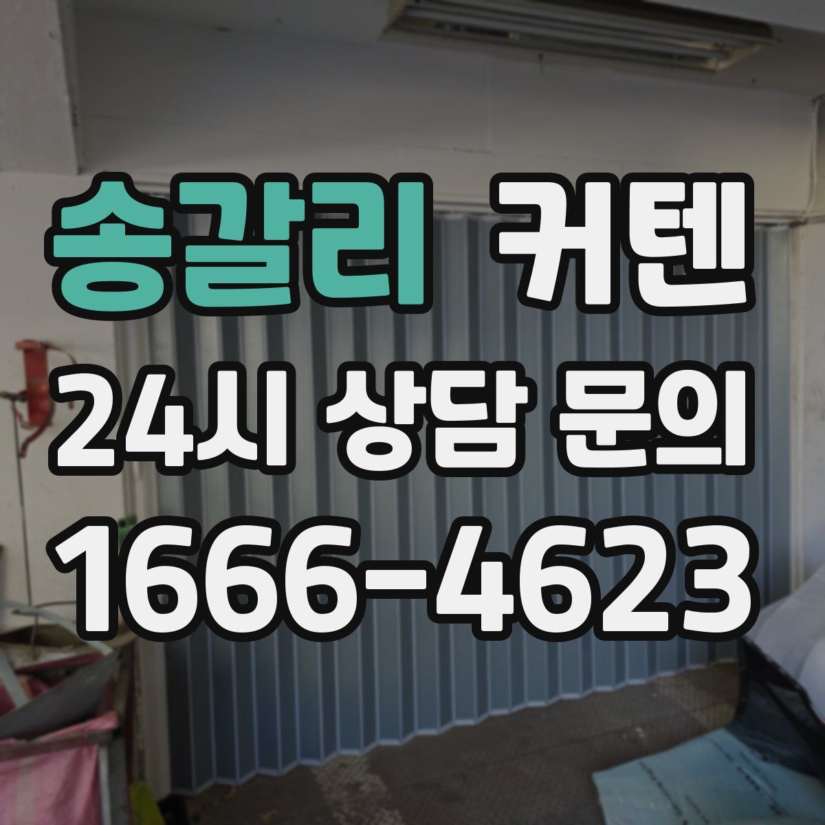 송갈리 커텐