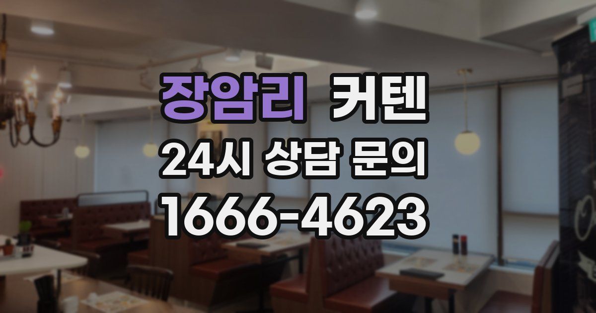 장암리 커텐