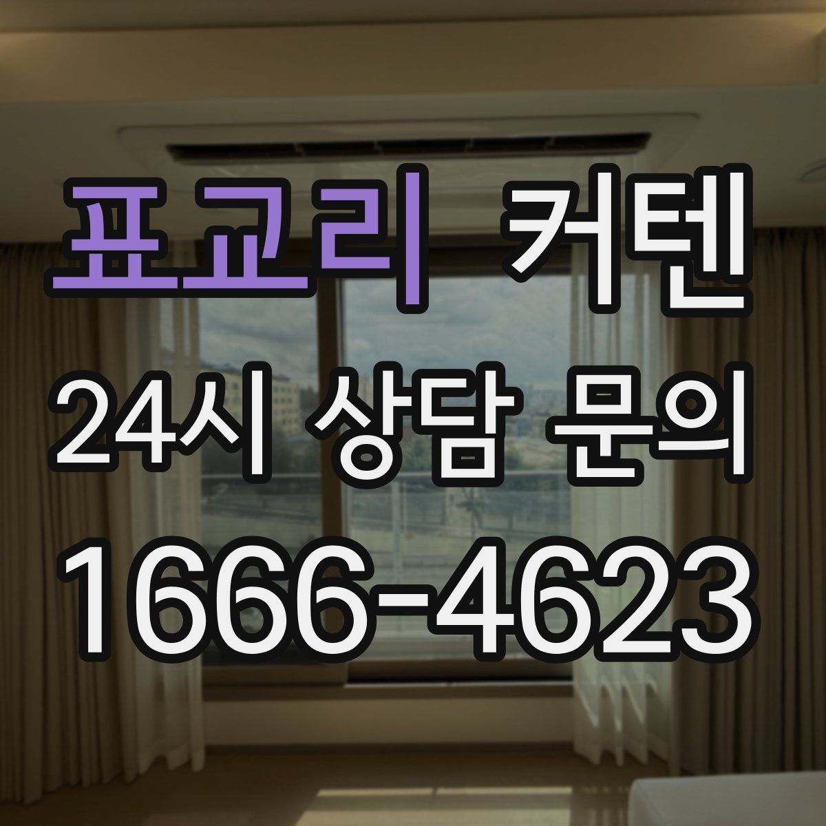 표교리 커텐
