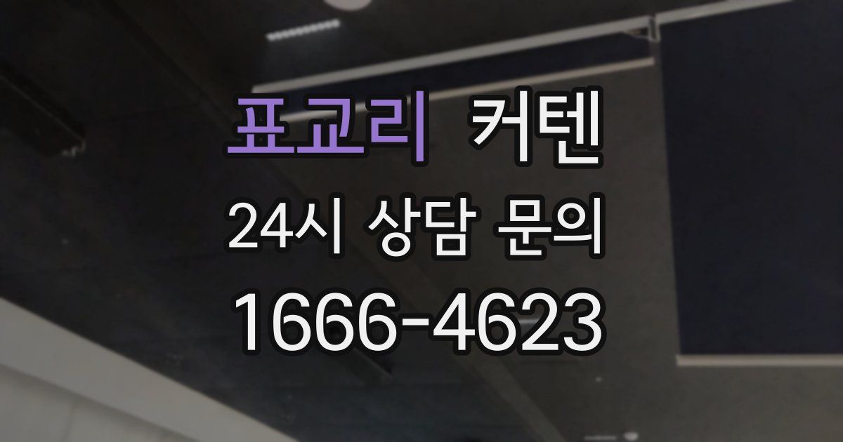 표교리 커텐